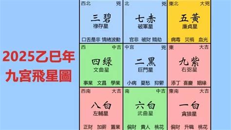 尤加利葉風水|2025年九宮飛星圖及風水方位吉兇與化解